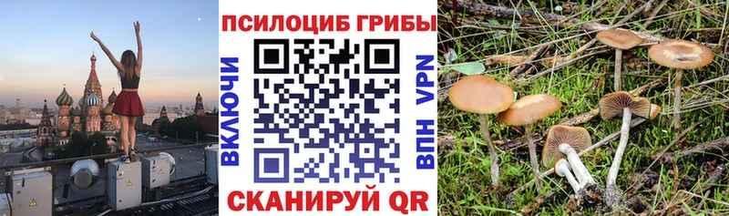 Галлюциногенные грибы мухоморы  Торжок 