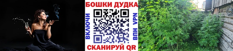 Марихуана план  Торжок 